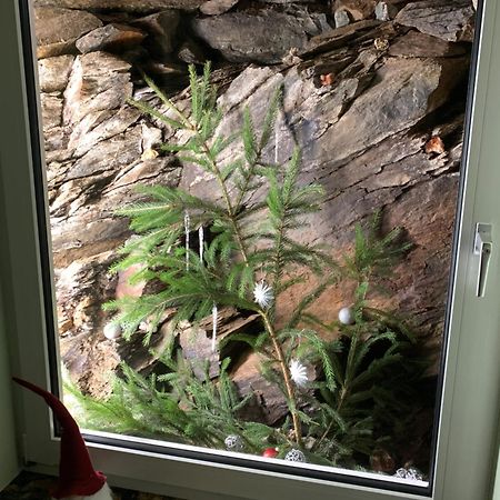 Ferienwohnung Rotbuche Tannenberg 外观 照片