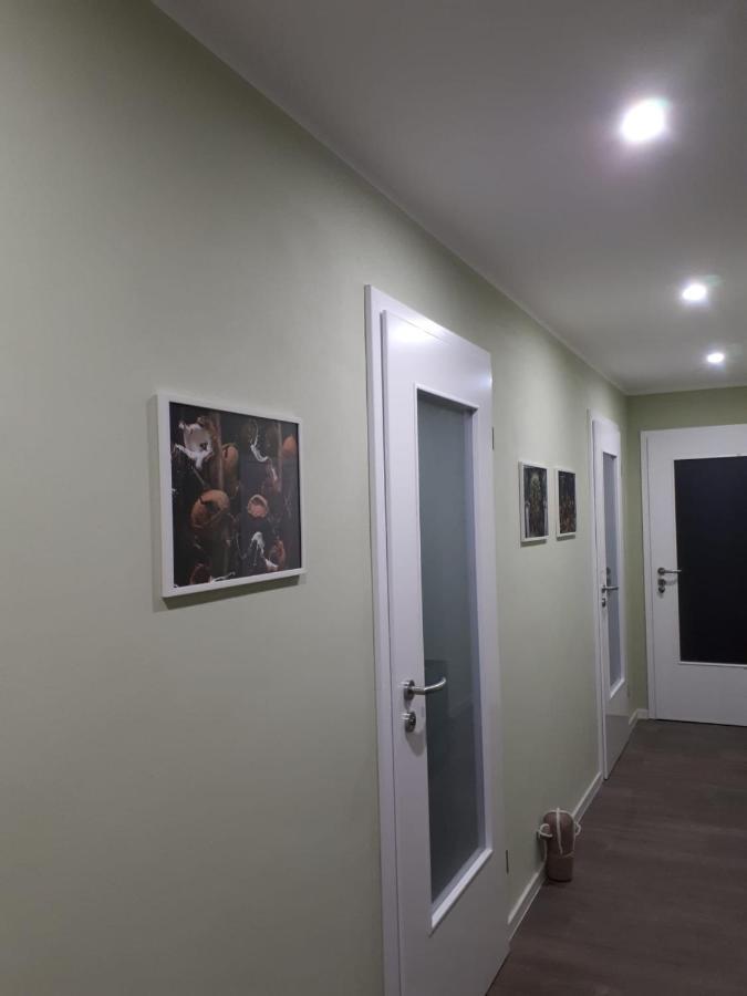 Ferienwohnung Rotbuche Tannenberg 外观 照片