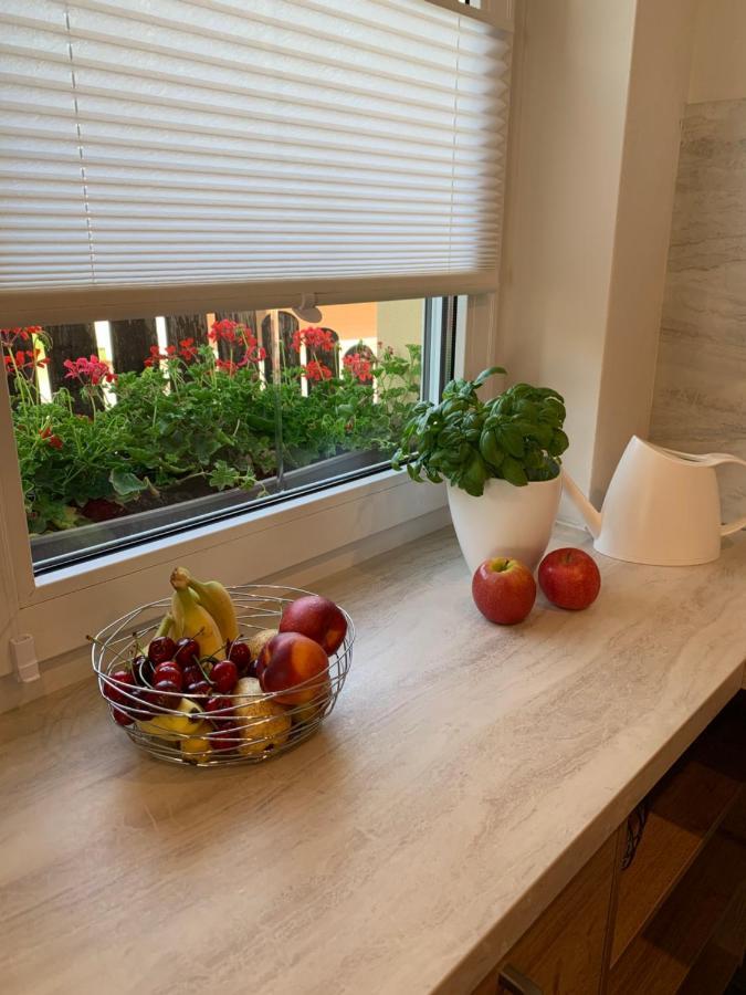 Ferienwohnung Rotbuche Tannenberg 外观 照片