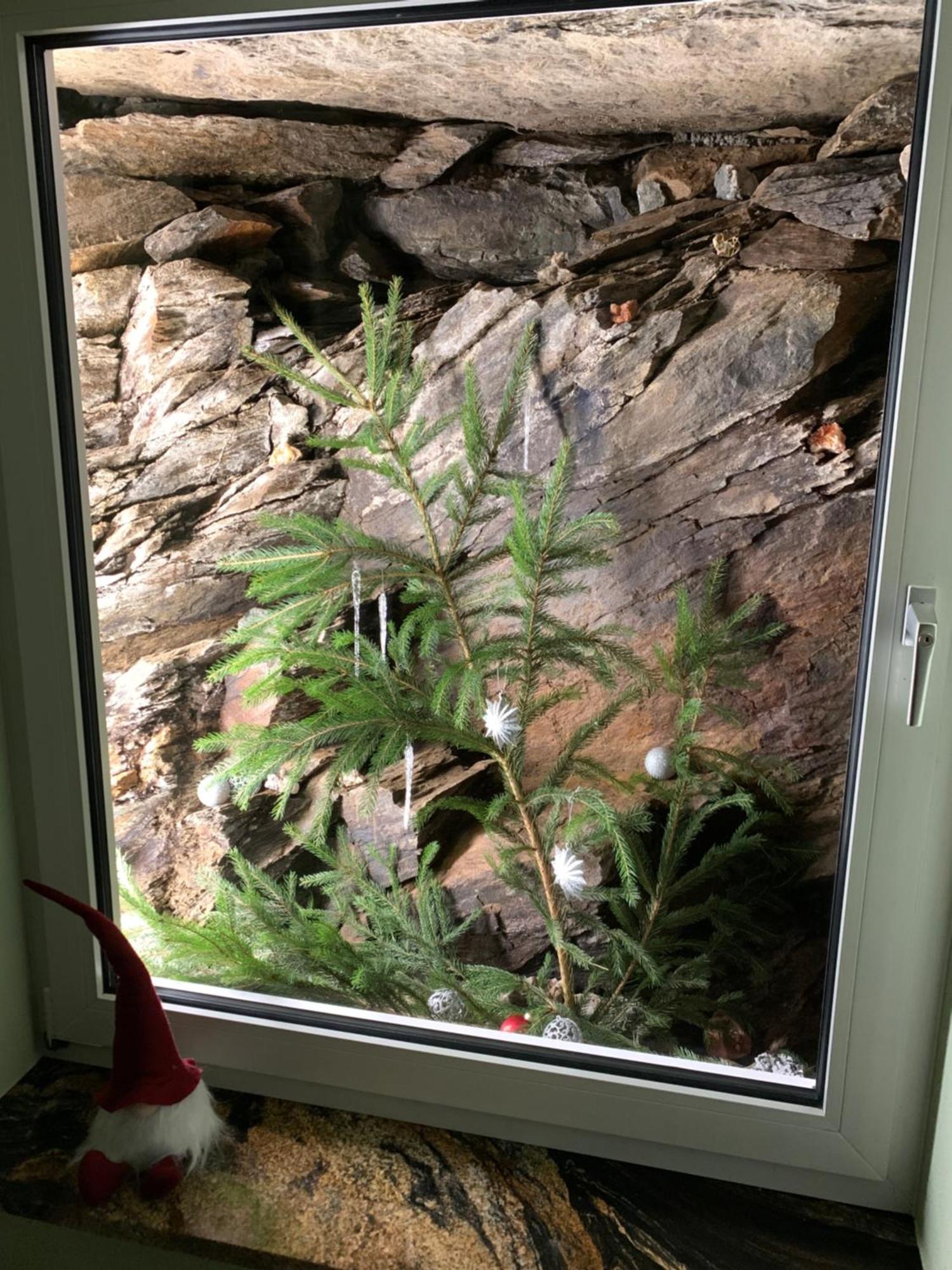 Ferienwohnung Rotbuche Tannenberg 外观 照片