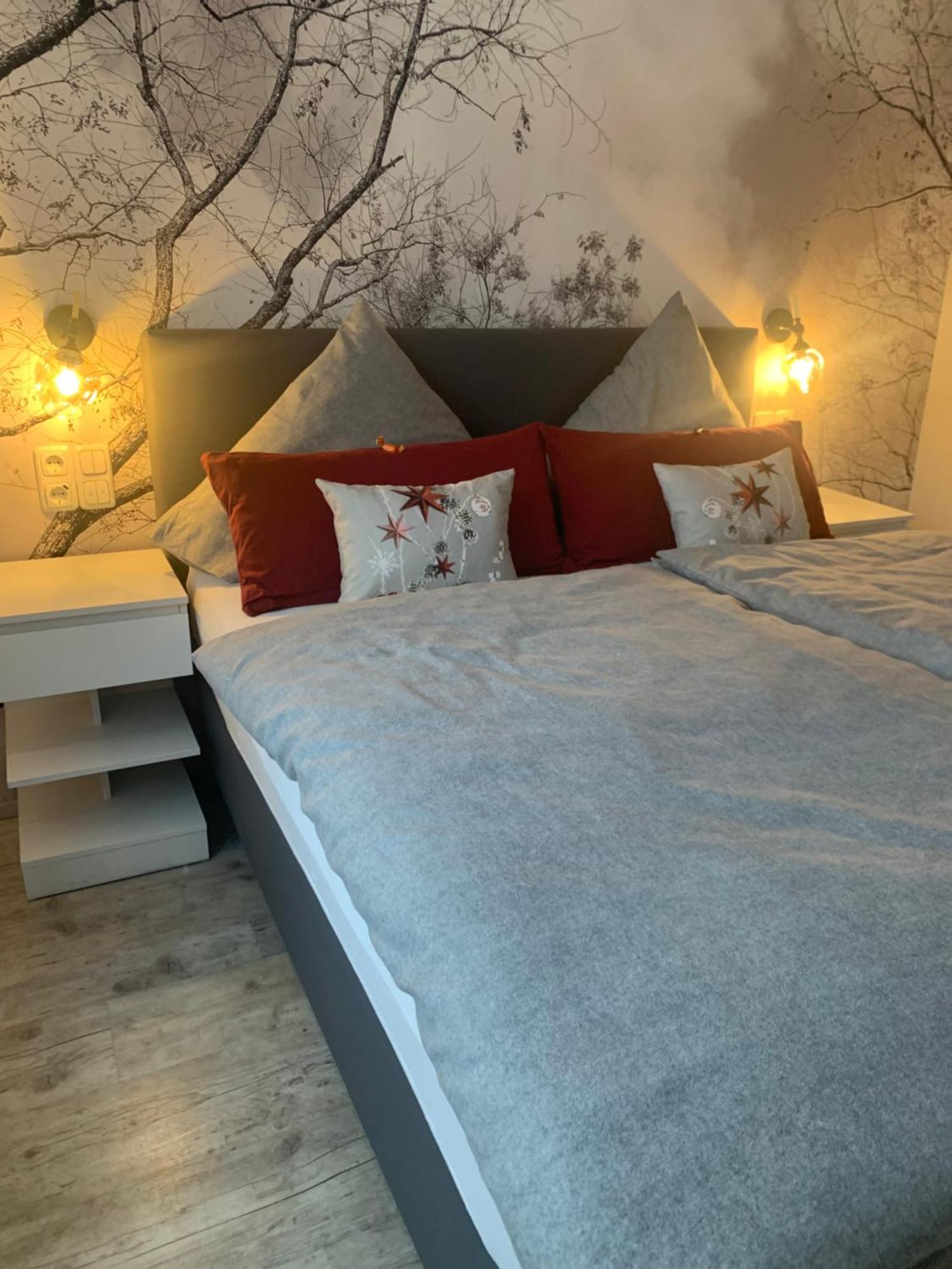 Ferienwohnung Rotbuche Tannenberg 外观 照片